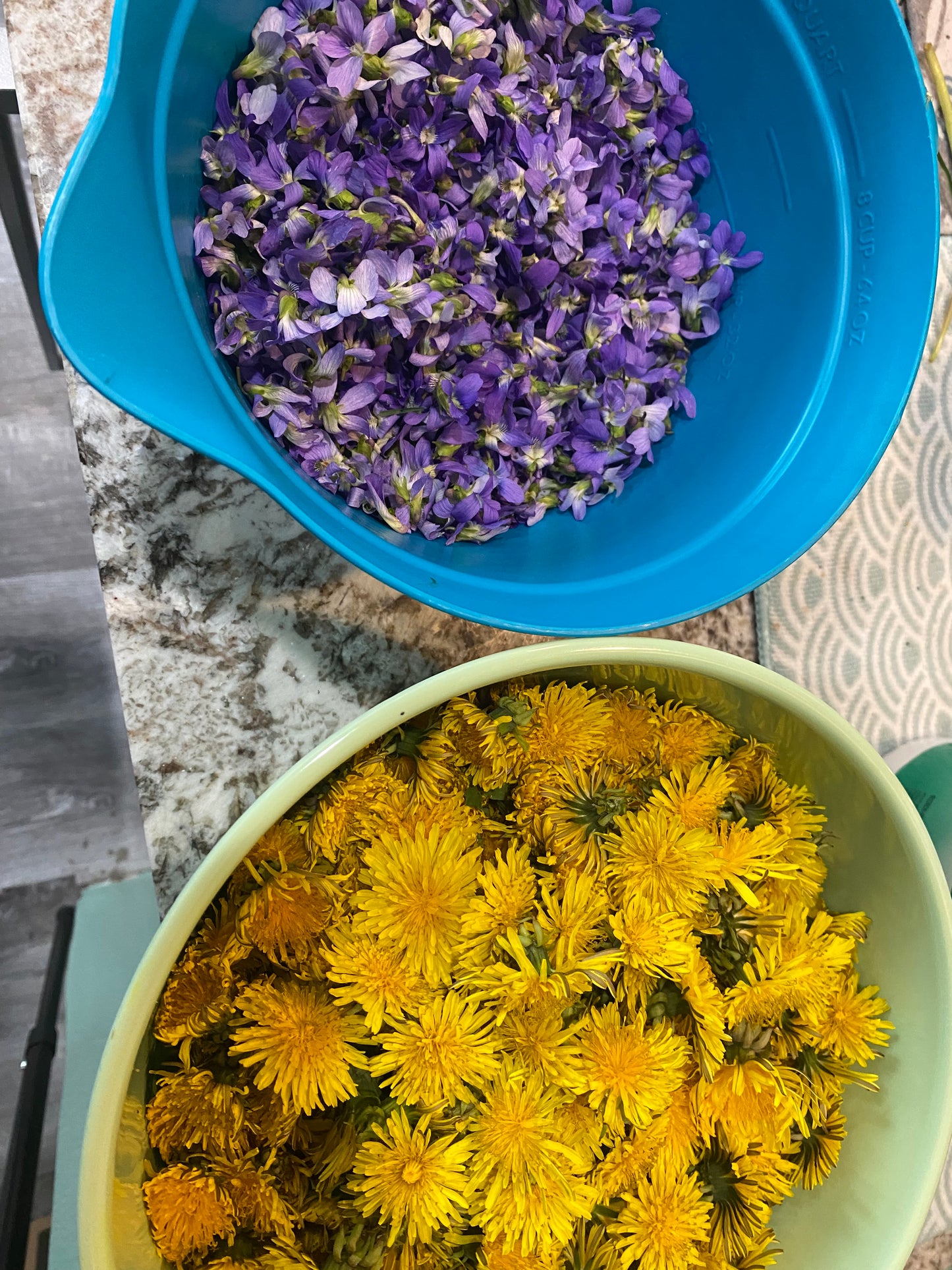 Flower & Fruit Jellies/Jams