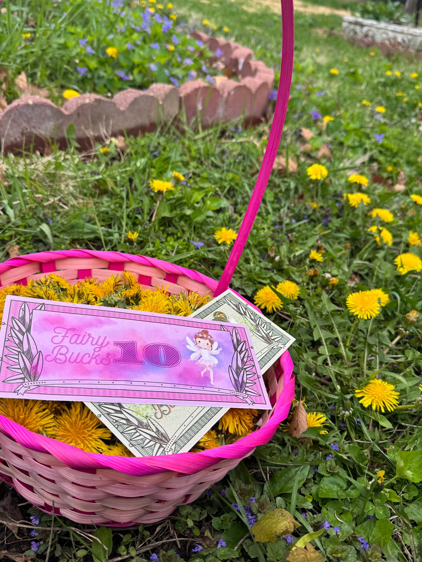 Bloom Box