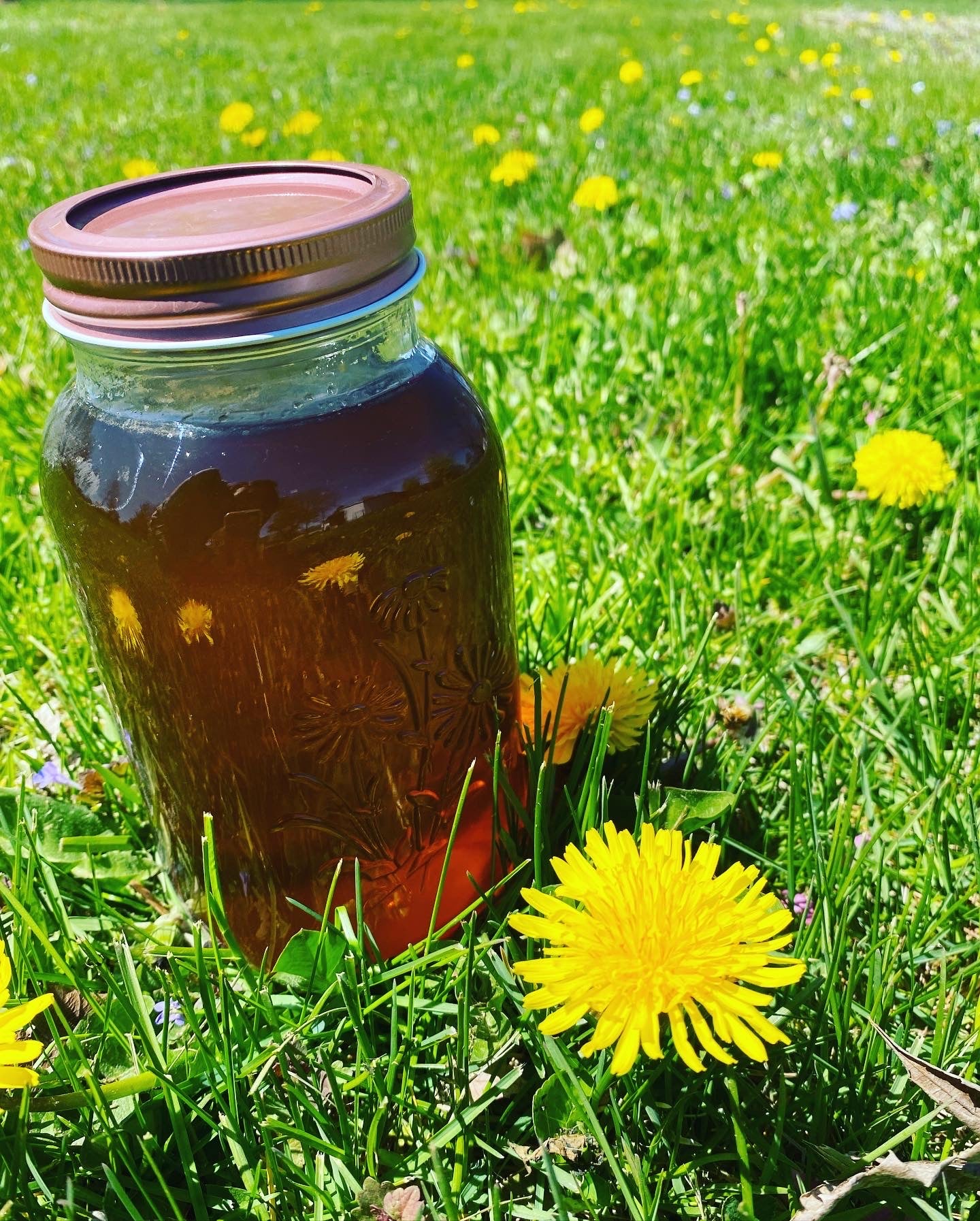 Flower & Fruit Jellies/Jams