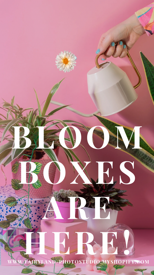 Bloom Box